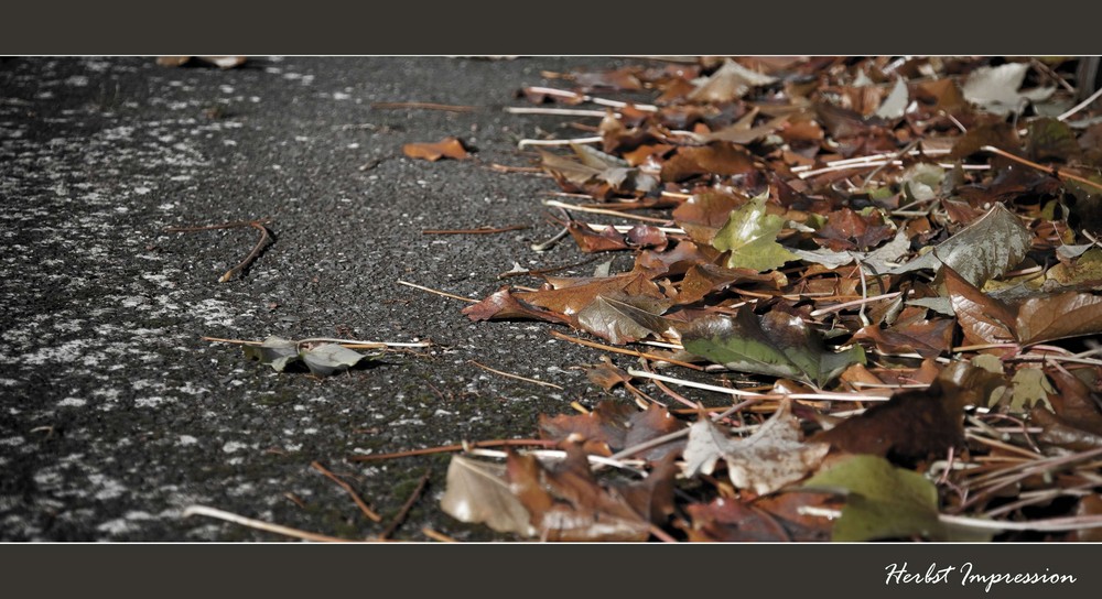 Herbststimmung