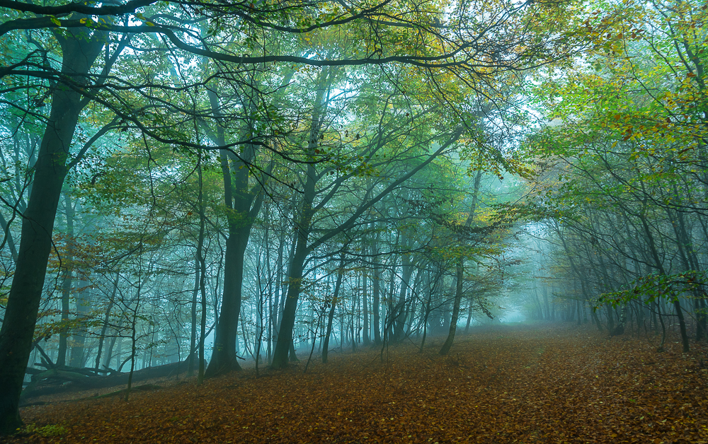 Herbststimmung