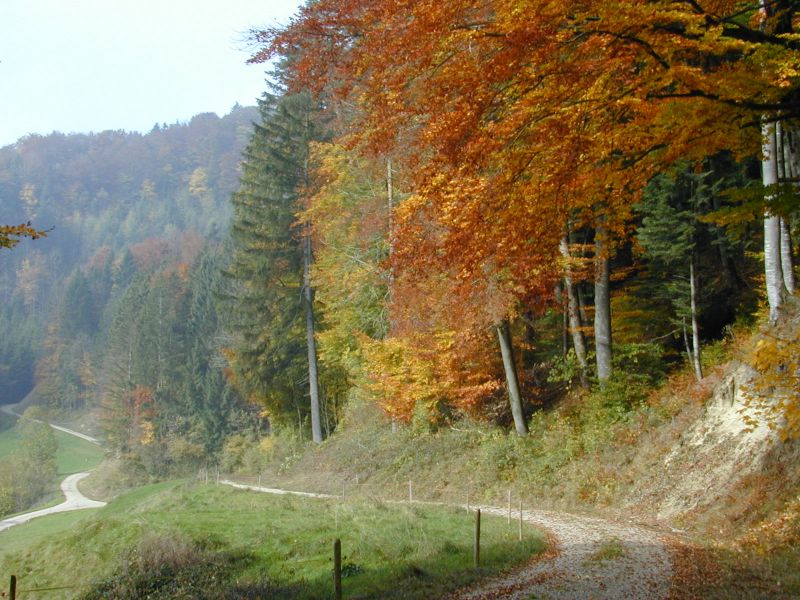 Herbststimmung