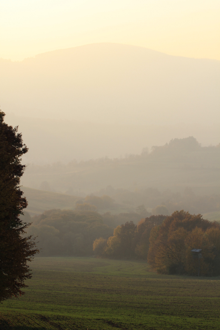 Herbststimmung