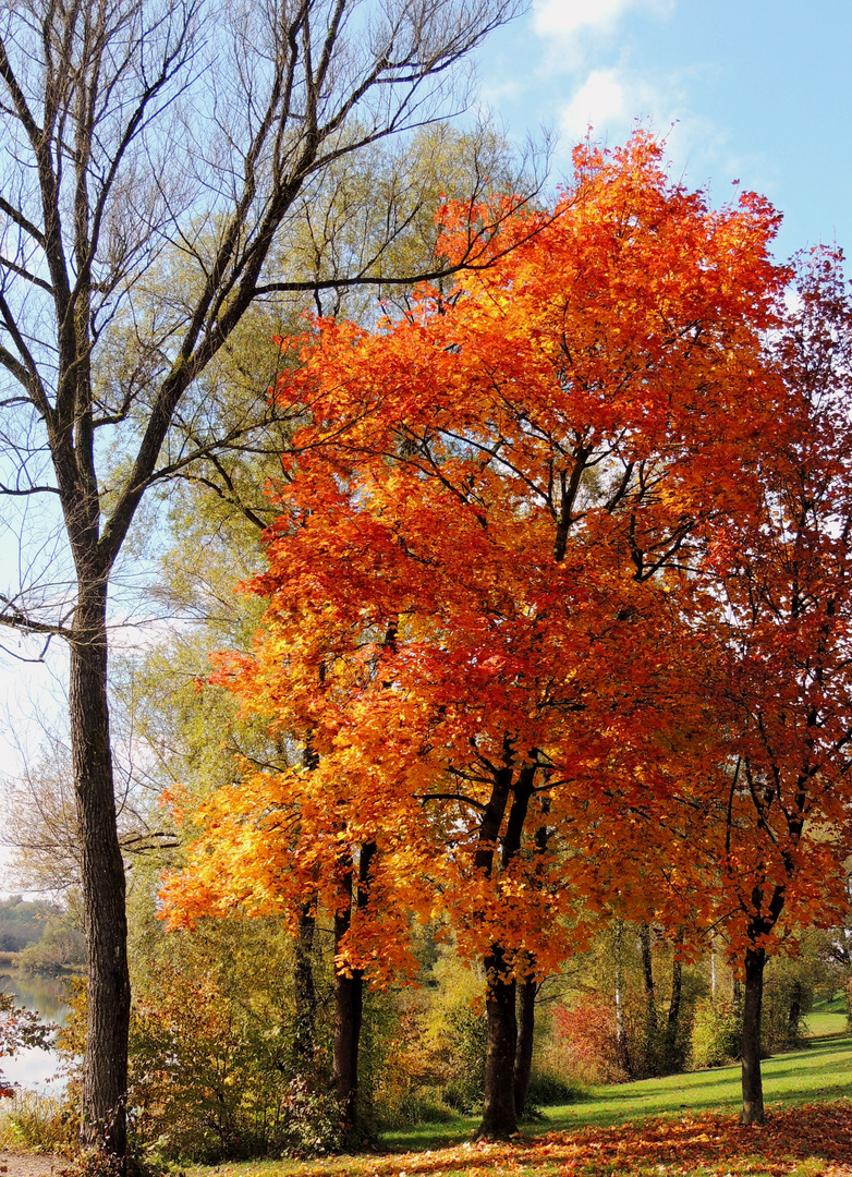 Herbststimmung