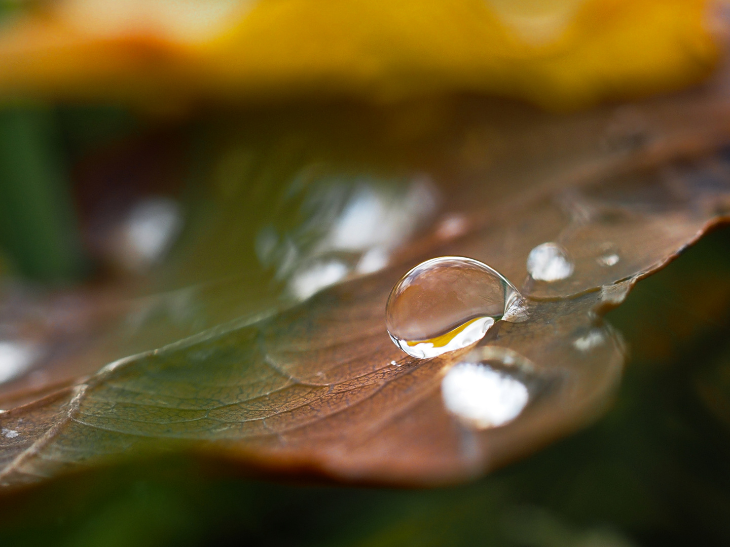 Herbststimmung