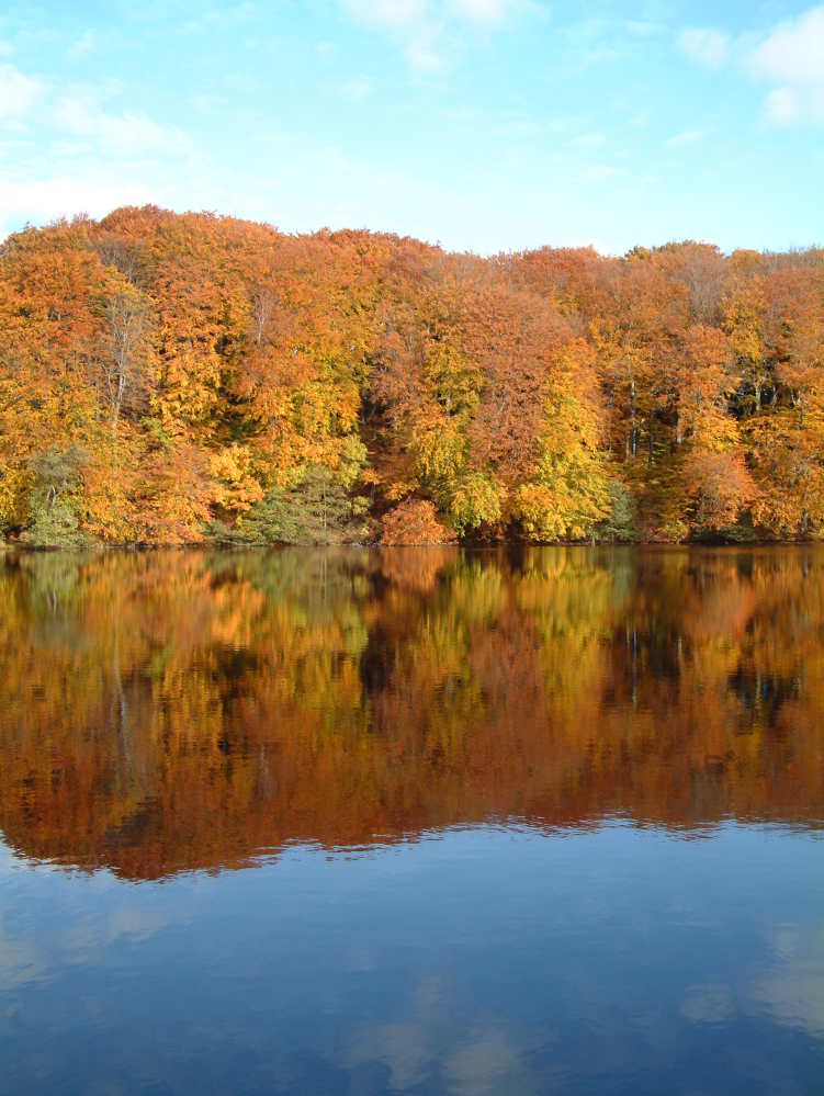 Herbststimmung