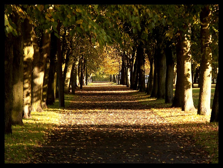 Herbststimmung