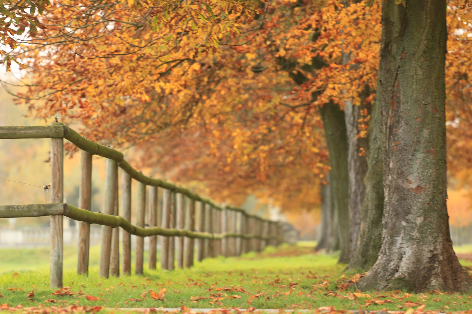 Herbststimmung