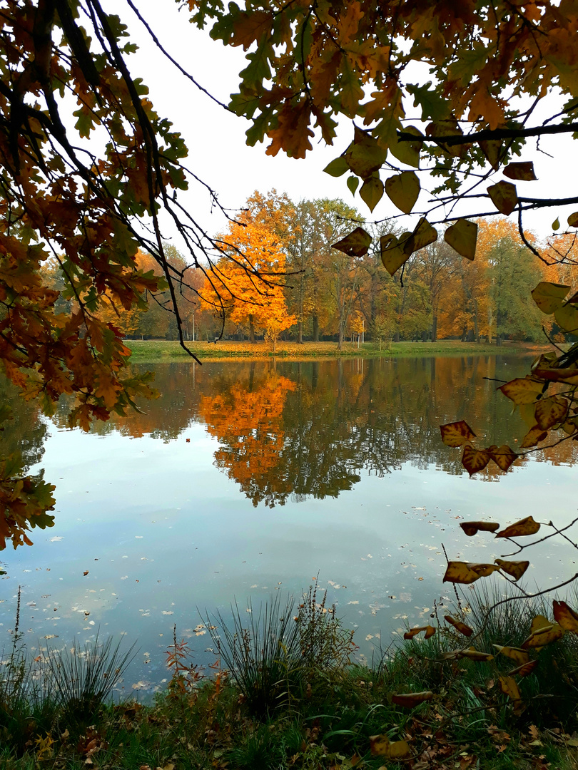 Herbststimmung 