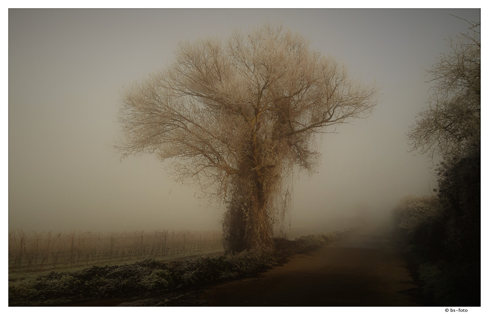 Herbststimmung