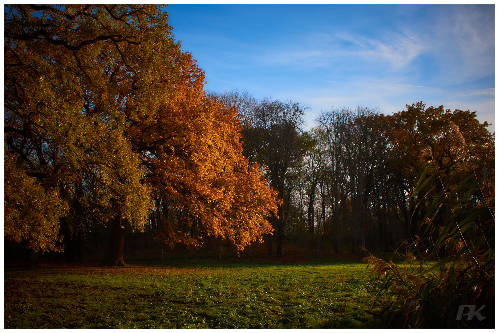 Herbststimmung