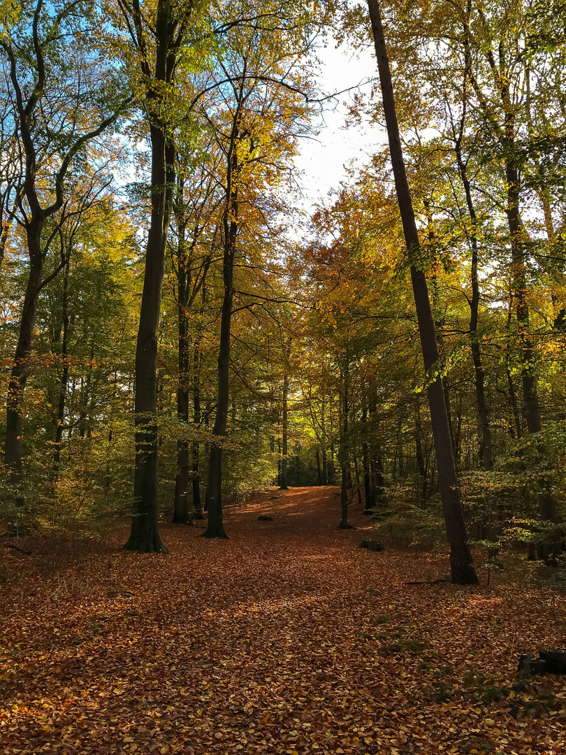 Herbststimmung