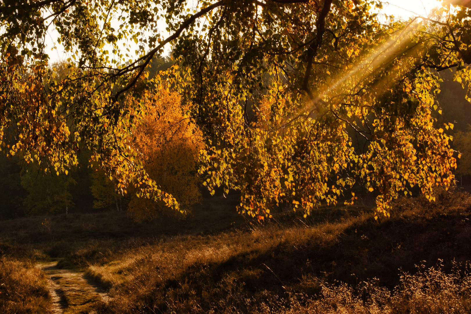 Herbststimmung