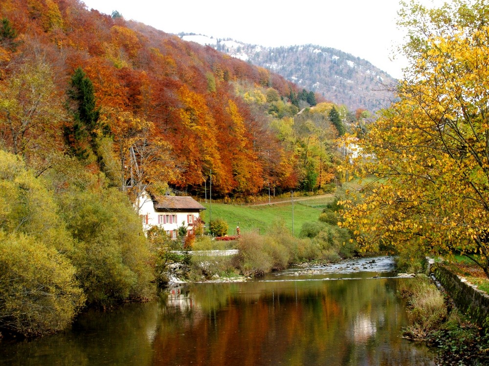 Herbststimmung