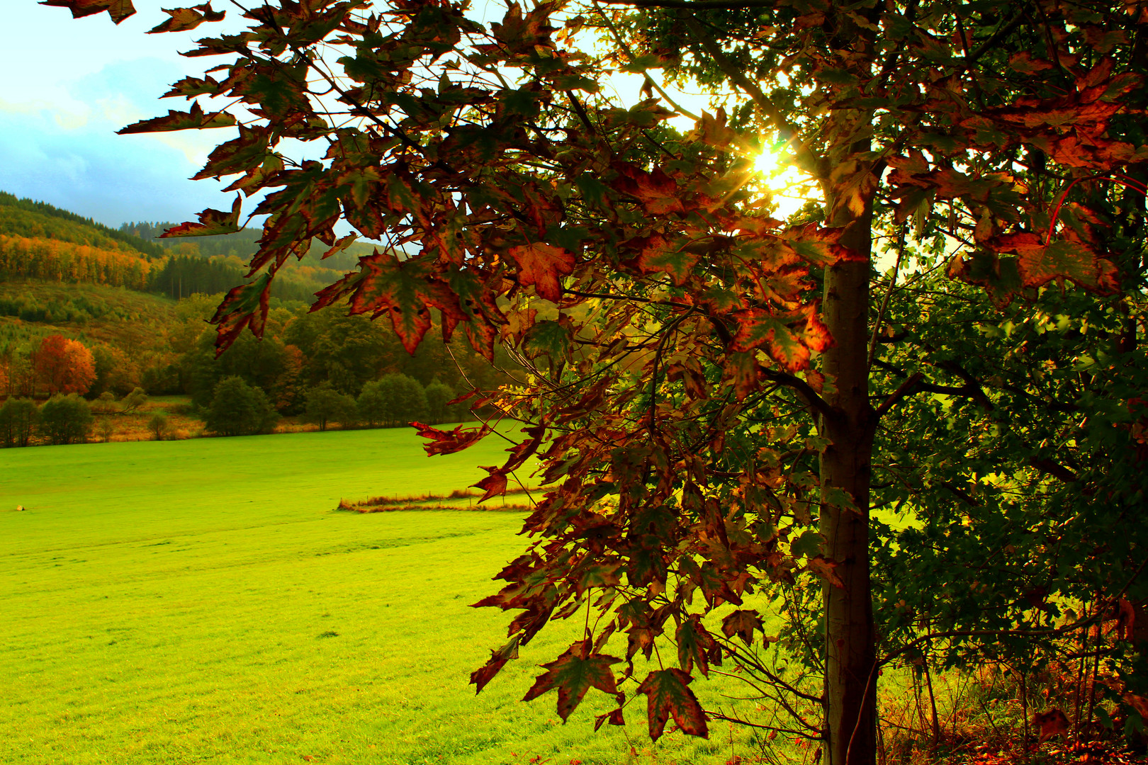 Herbststimmung