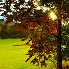 Herbststimmung