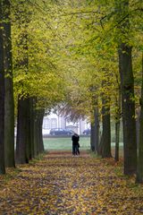 herbststimmung