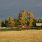 Herbststimmung