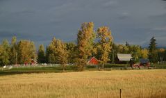 Herbststimmung