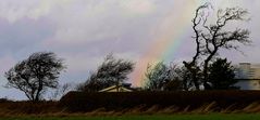 Herbststimmung