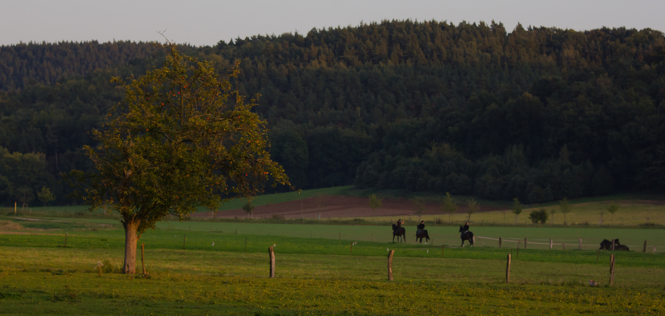 Herbststimmung