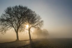 Herbststimmung