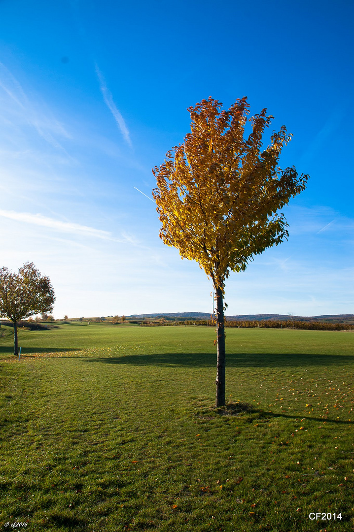 Herbststimmung