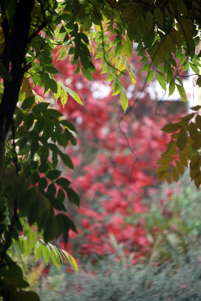 Herbststimmung