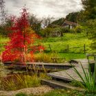 Herbststimmung