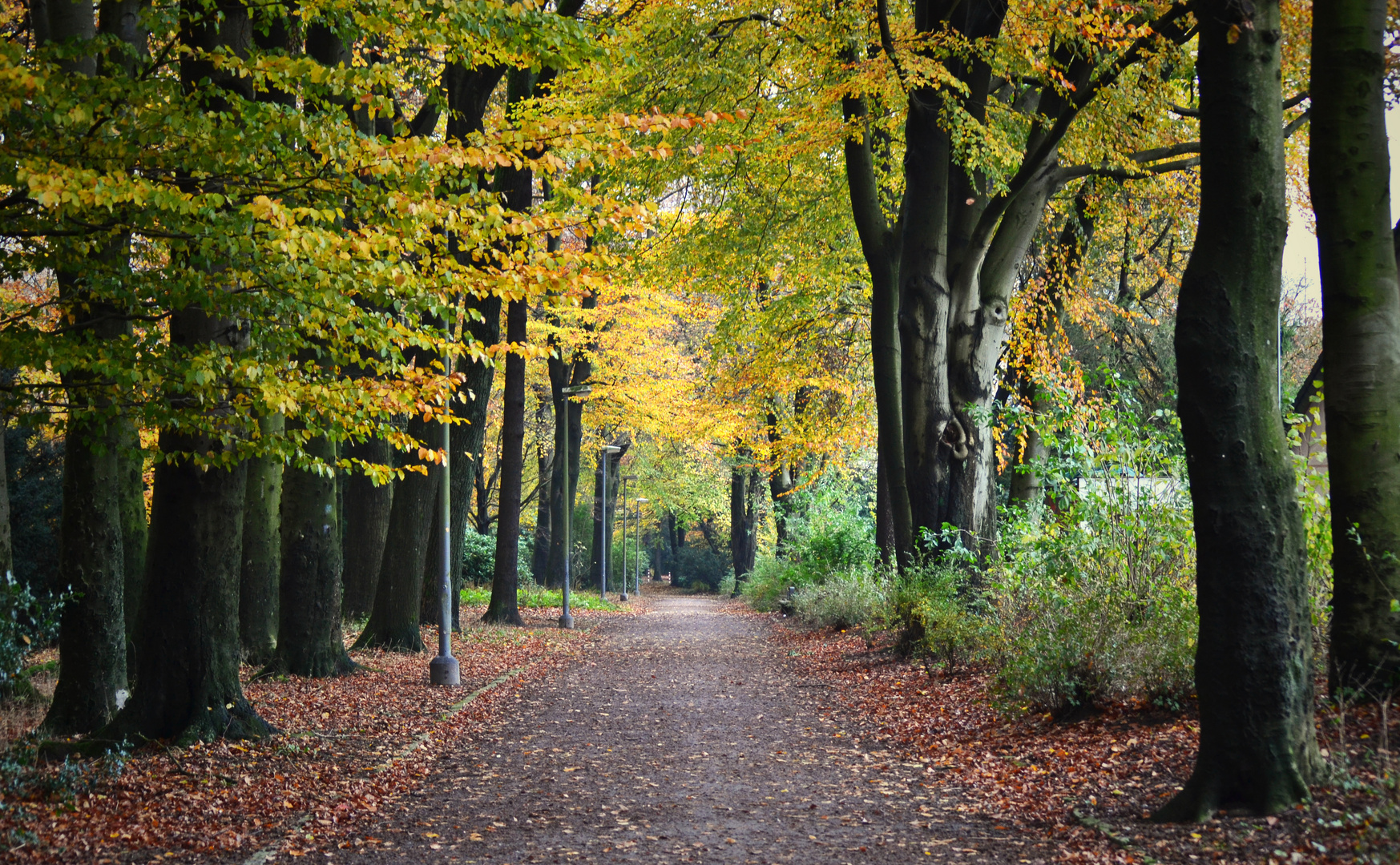 Herbststimmung