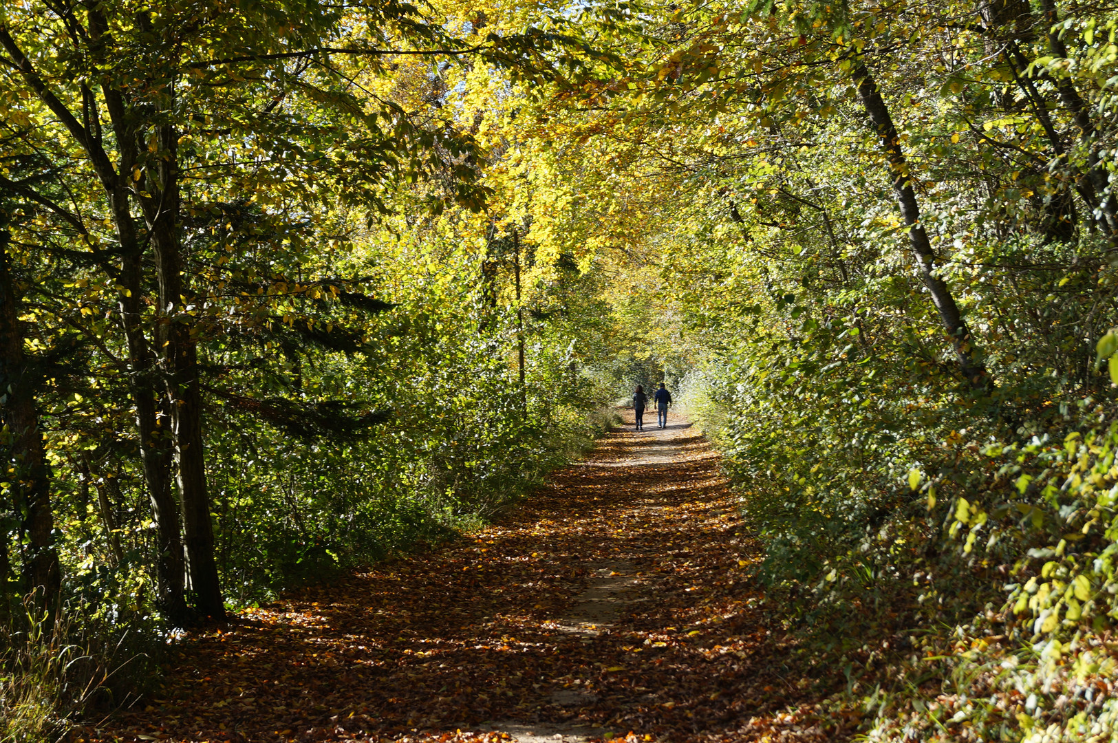 Herbststimmung