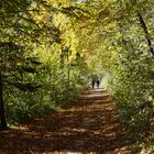 Herbststimmung