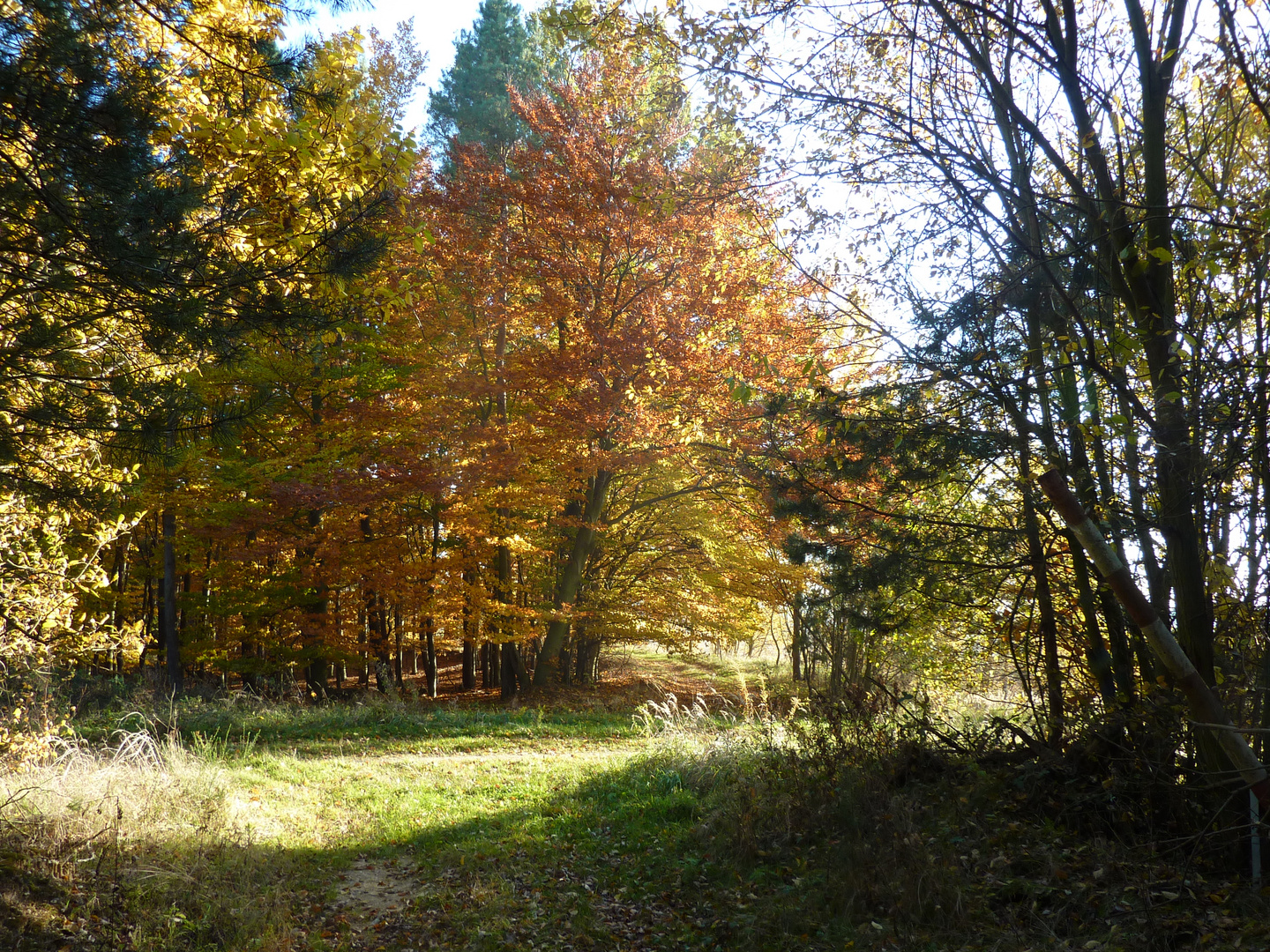 Herbststimmung