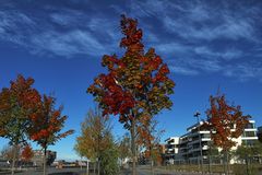 Herbststimmung