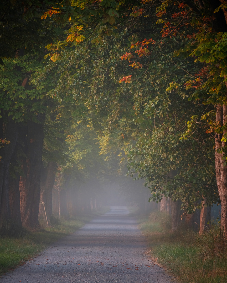 Herbststimmung