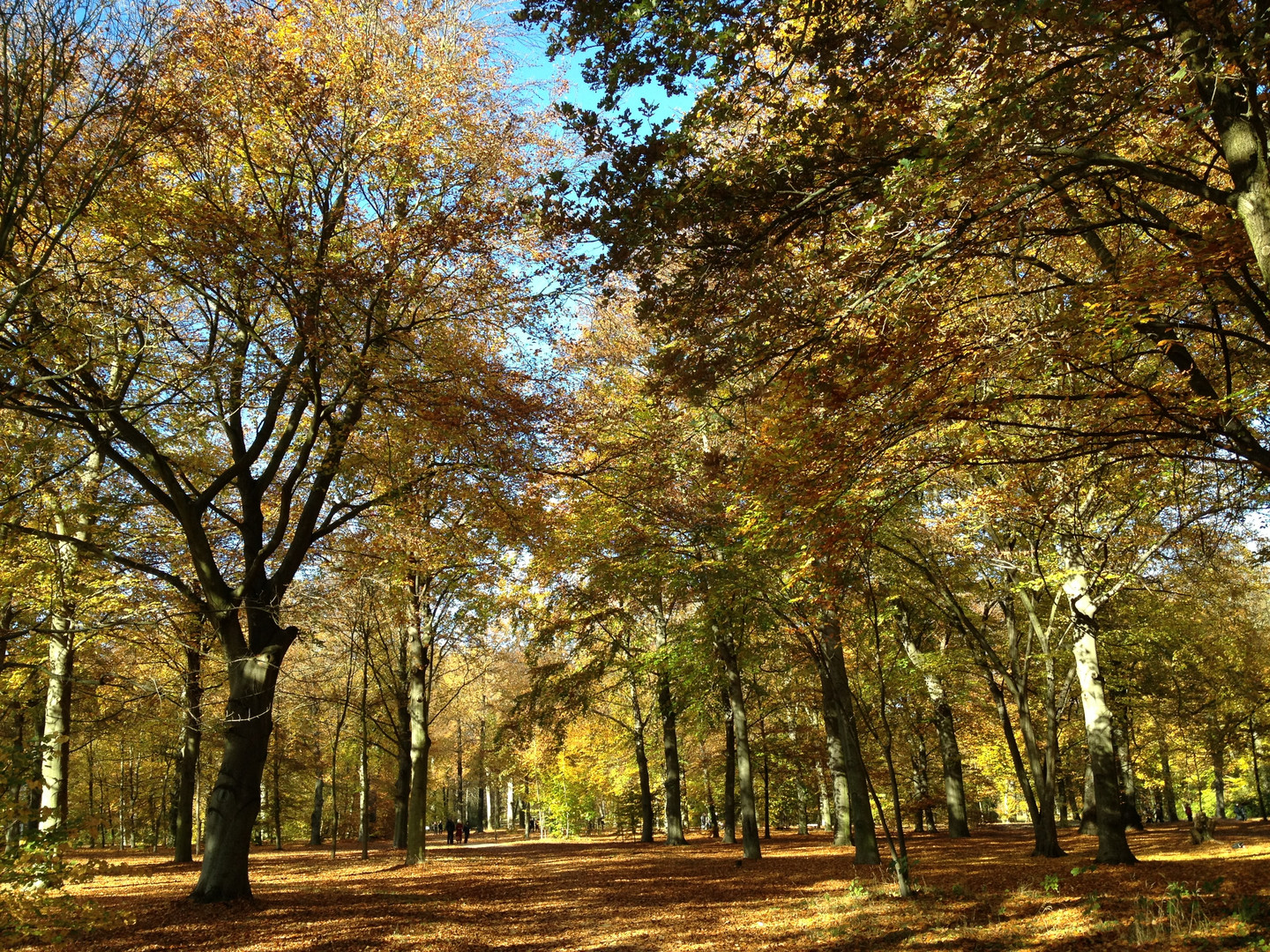 Herbststimmung