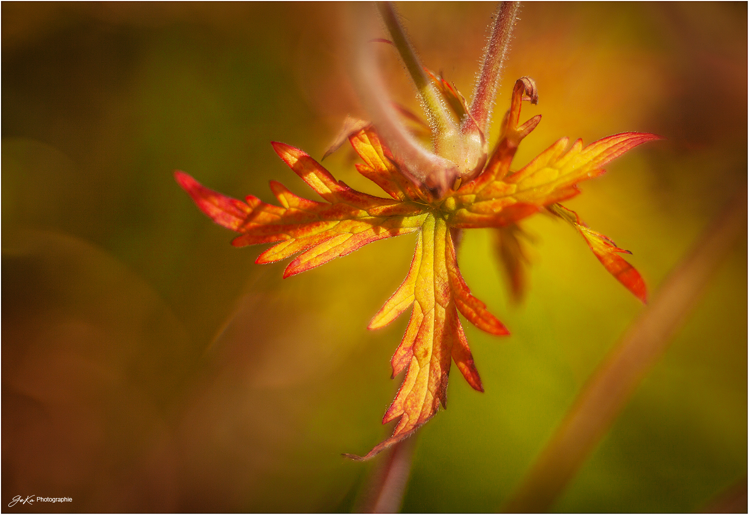 Herbststimmung