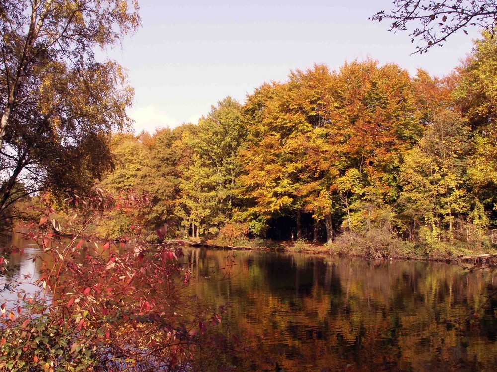 Herbststimmung...