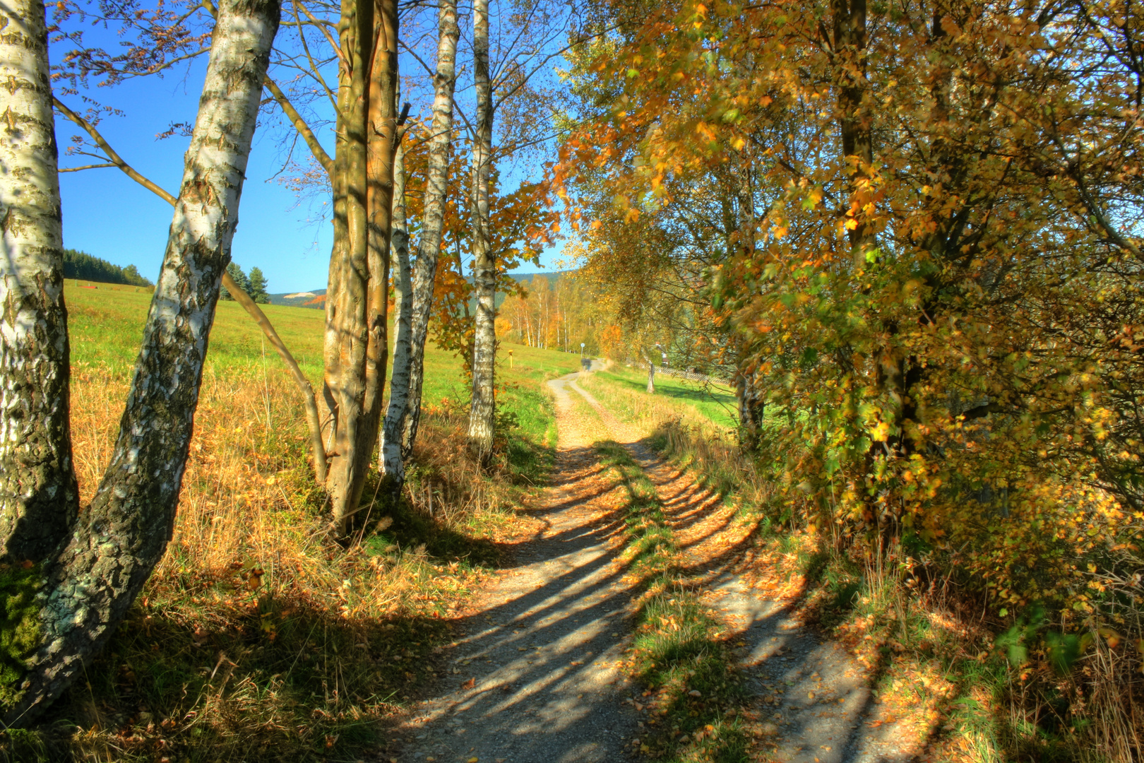 Herbststimmung