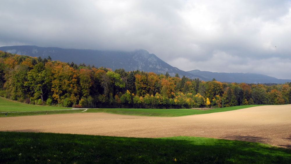 Herbststimmung