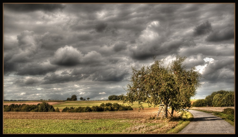 Herbststimmung