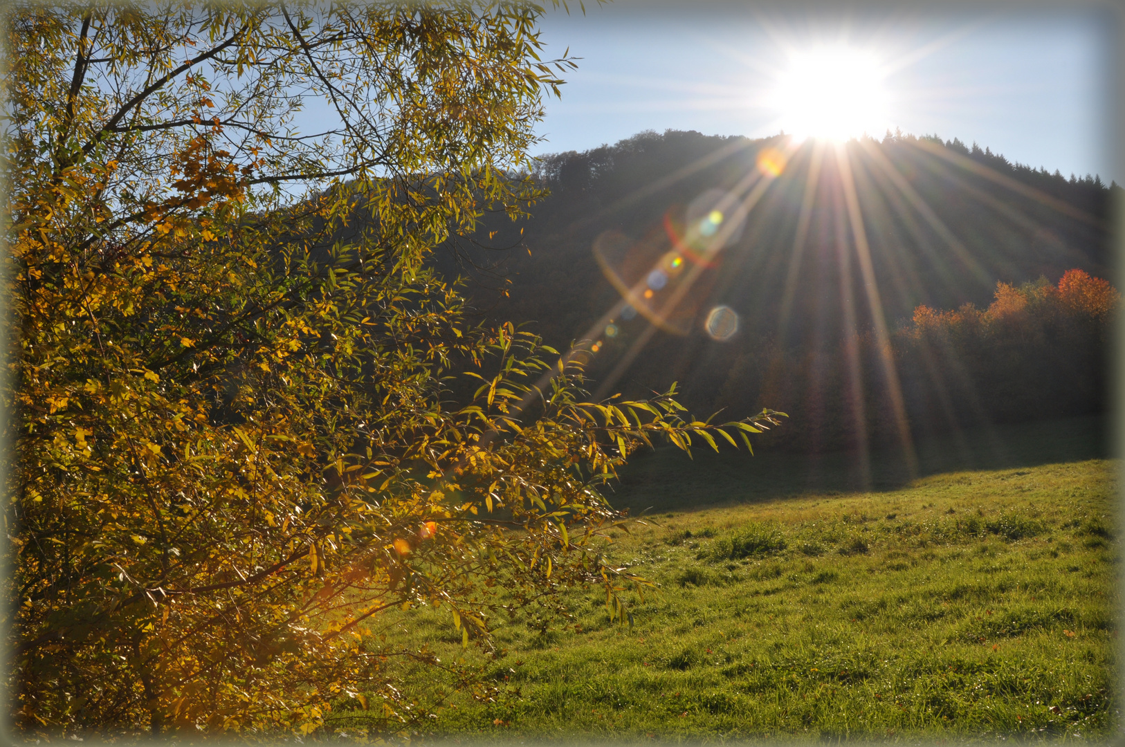 Herbststimmung