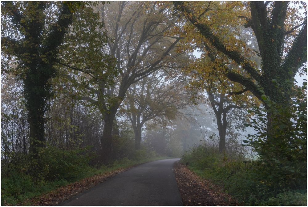 Herbststimmung