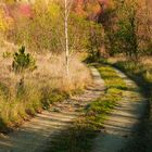 Herbststimmung