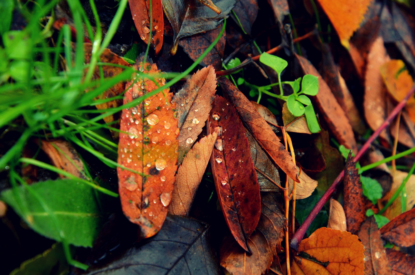 Herbststimmung