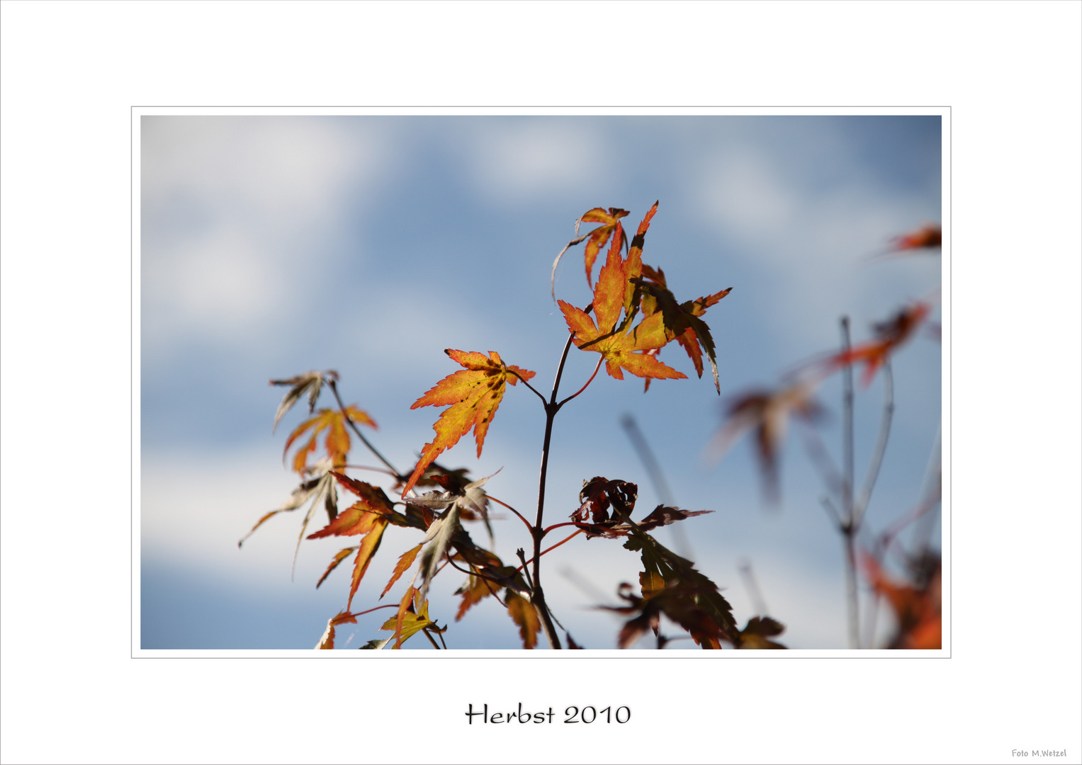 Herbststimmung