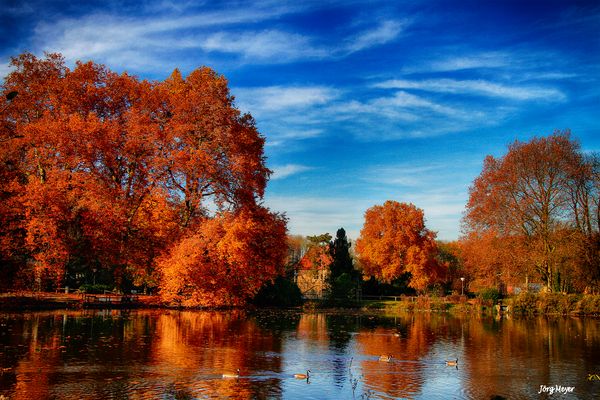 Herbststimmung .....