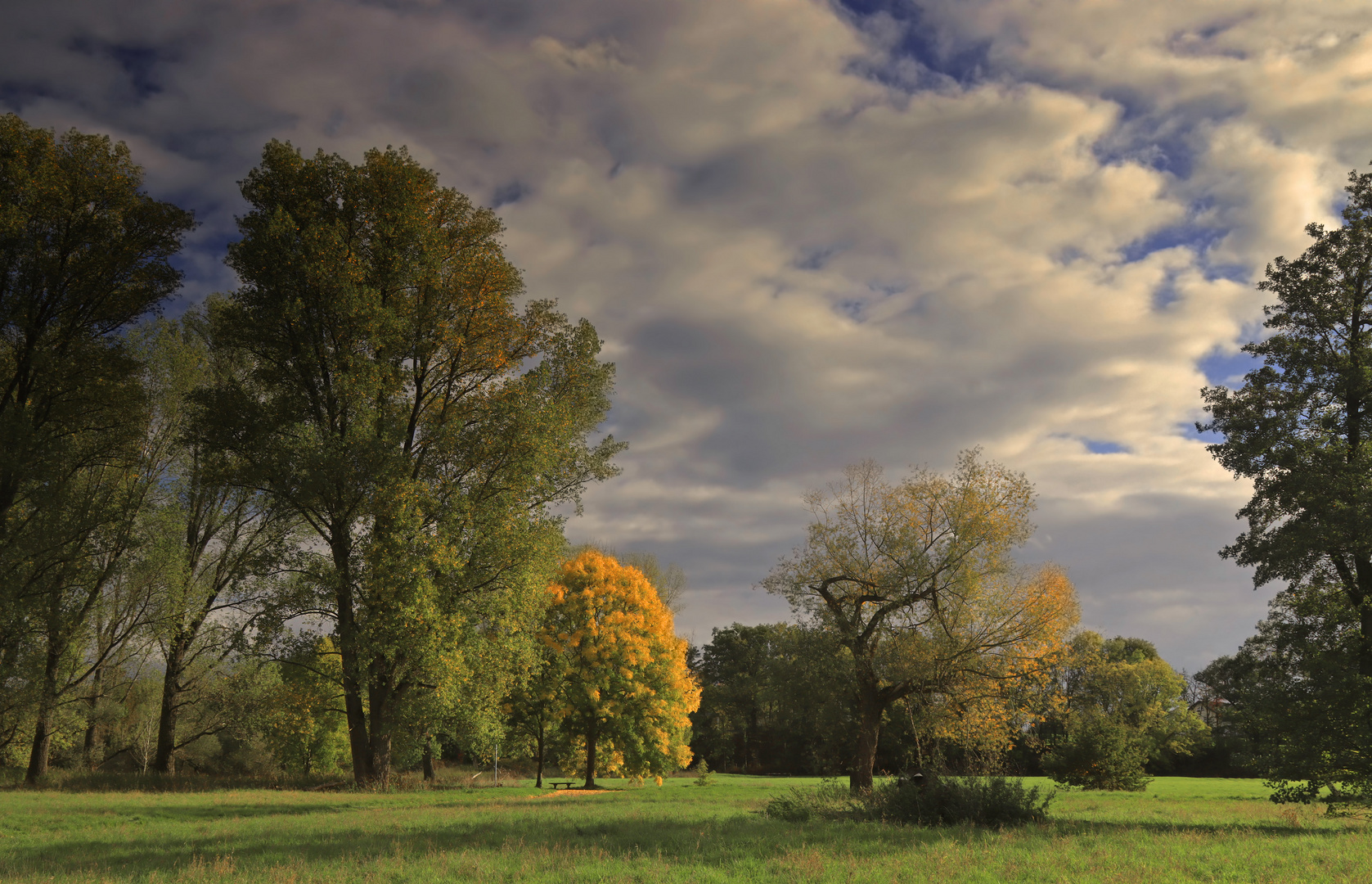 Herbststimmung