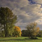 Herbststimmung