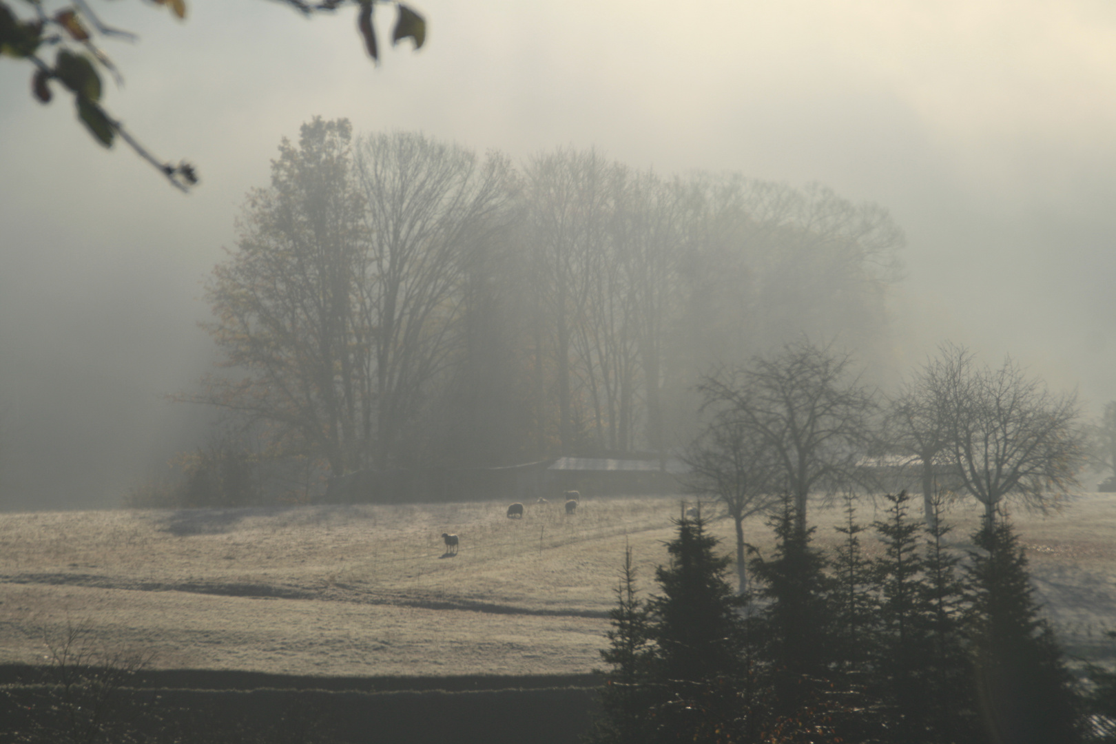 Herbststimmung