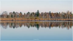 Herbststimmung..............