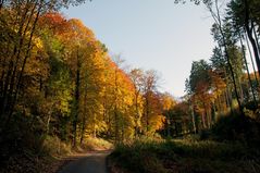 Herbststimmung