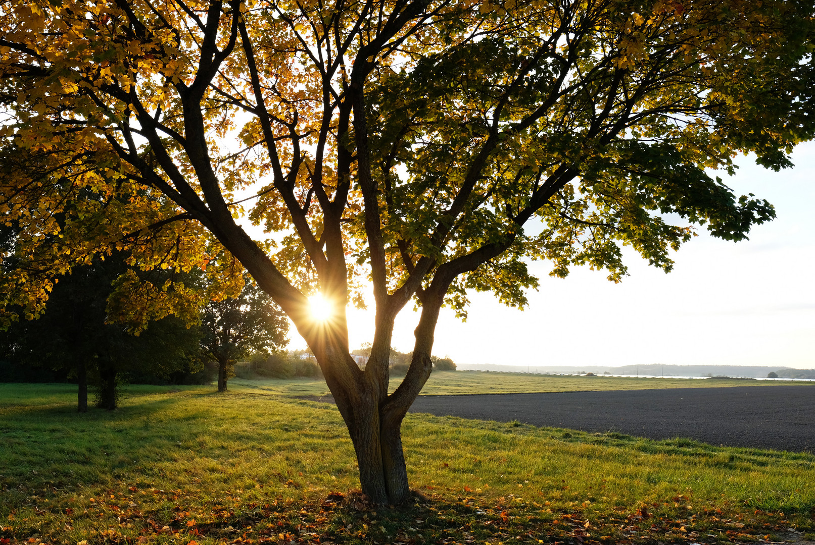 Herbststimmung